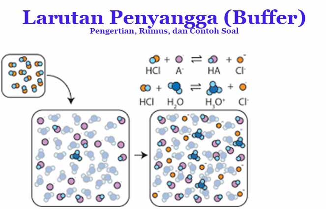 Detail Contoh Soal Larutan Penyangga Asam Nomer 41