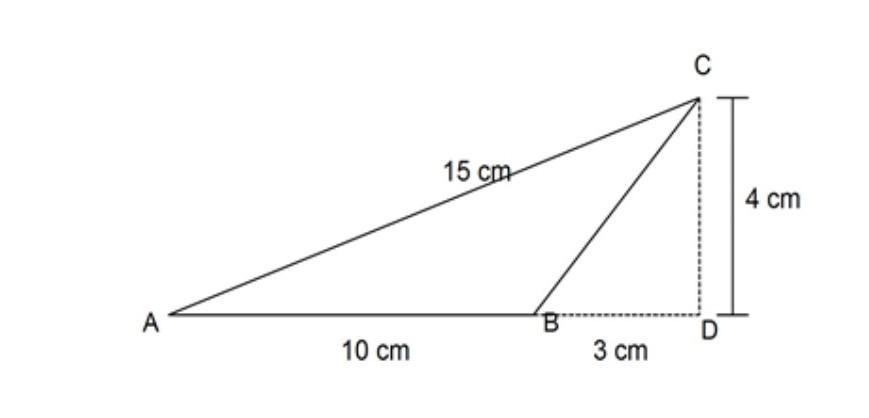 Detail Contoh Soal Luas Segitiga Dalam Trigonometri Nomer 39