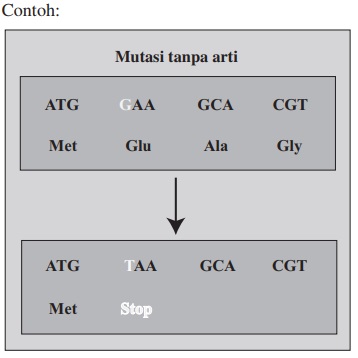 Detail Contoh Soal Mutasi Nomer 7