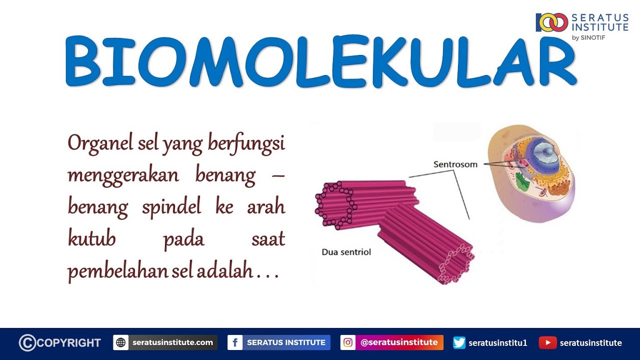 Detail Contoh Soal Pembelahan Sel Nomer 43