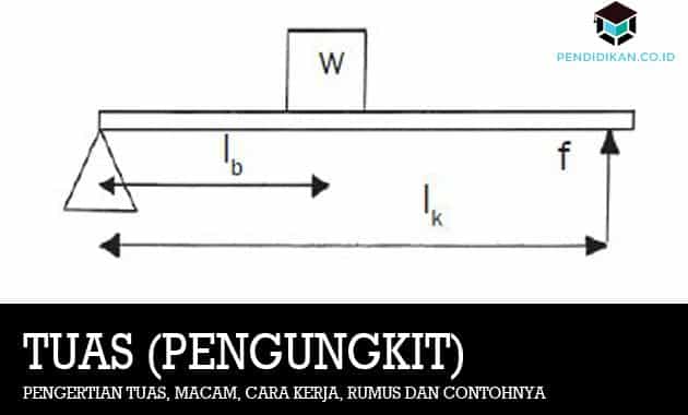 Detail Contoh Soal Pengungkit Nomer 50