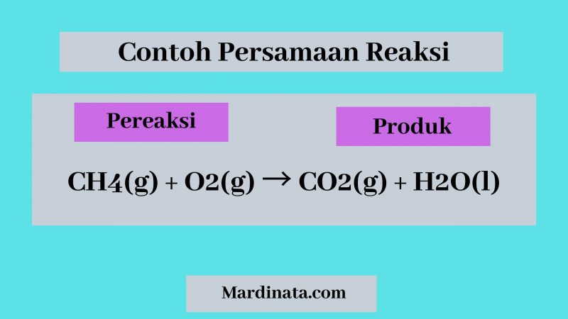 Detail Contoh Soal Persamaan Reaksi Nomer 20