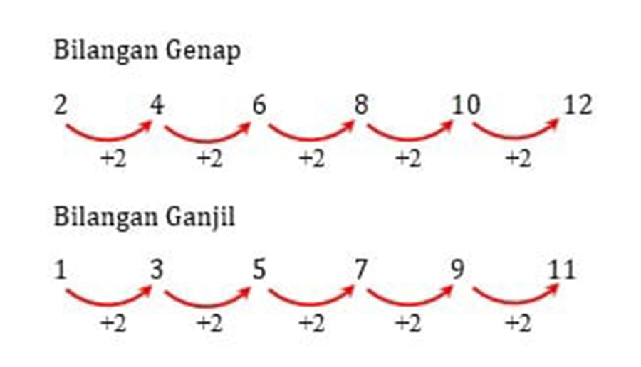 Detail Contoh Soal Pola Bilangan Genap Nomer 35