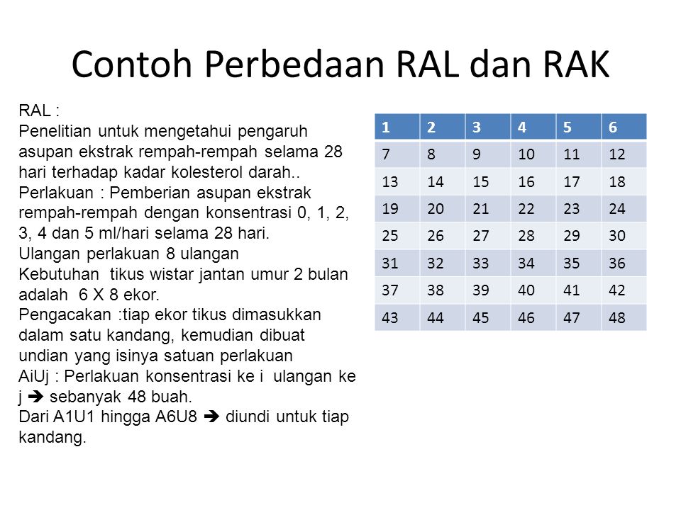 Detail Contoh Soal Ral Nomer 17