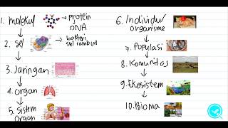 Detail Contoh Soal Ruang Lingkup Biologi Nomer 29