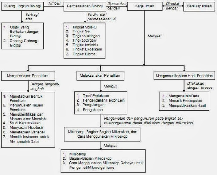 Detail Contoh Soal Ruang Lingkup Biologi Nomer 33