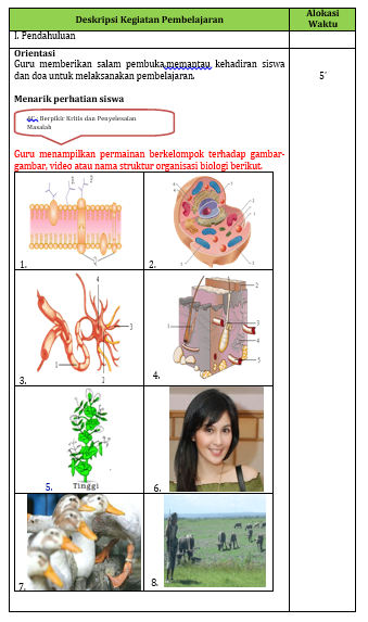 Detail Contoh Soal Ruang Lingkup Biologi Nomer 35