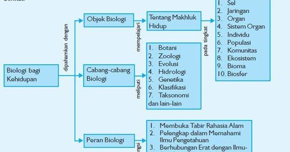 Detail Contoh Soal Ruang Lingkup Biologi Nomer 36