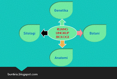 Detail Contoh Soal Ruang Lingkup Biologi Nomer 38