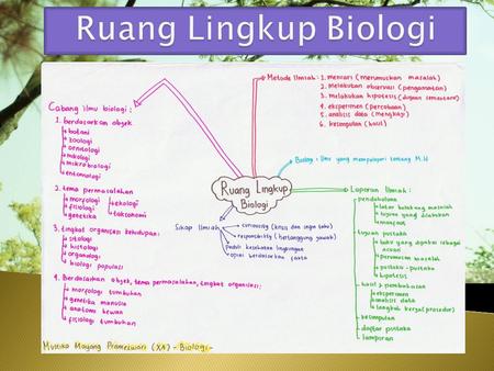 Detail Contoh Soal Ruang Lingkup Biologi Nomer 49