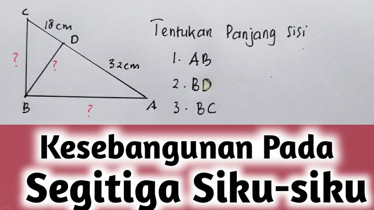 Detail Contoh Soal Segitiga Siku Siku Nomer 29