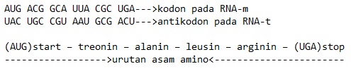 Detail Contoh Soal Sense Antisense Kodon Antikodon Nomer 16