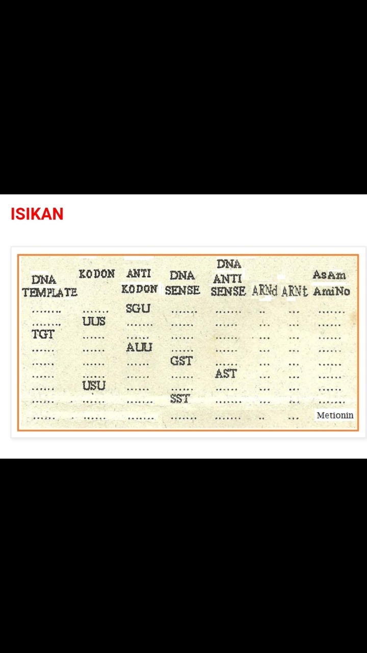 Detail Contoh Soal Sense Antisense Kodon Antikodon Nomer 36