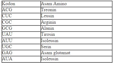 Detail Contoh Soal Sense Antisense Kodon Antikodon Nomer 38