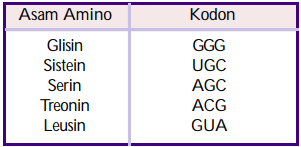 Detail Contoh Soal Sense Antisense Kodon Antikodon Nomer 48