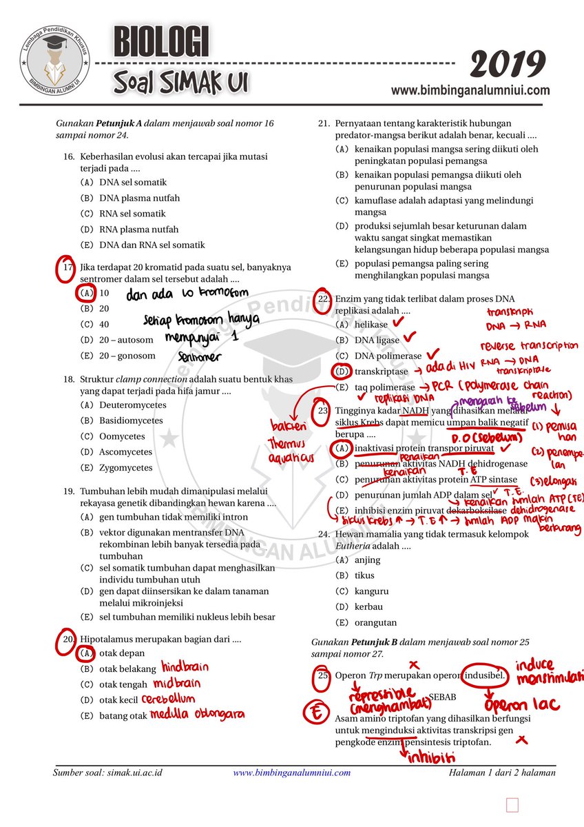 Detail Contoh Soal Sense Antisense Kodon Antikodon Nomer 50