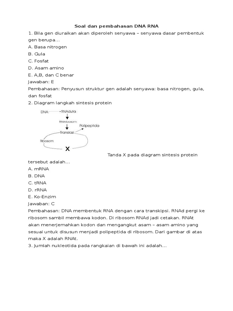 Detail Contoh Soal Sintesis Protein Nomer 42