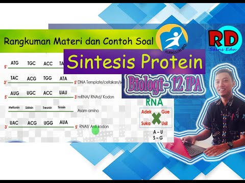 Detail Contoh Soal Sintesis Protein Nomer 54