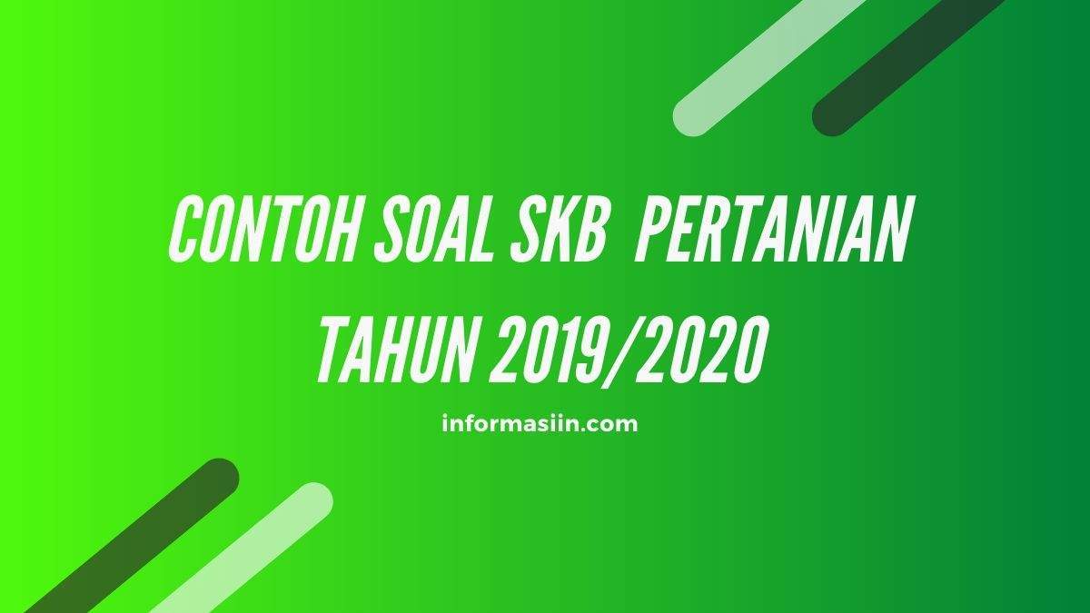 Download Contoh Soal Skb Cpns 2019 Nomer 27