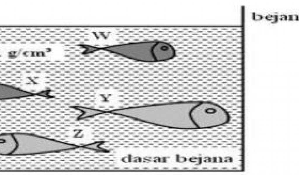 Detail Contoh Soal Tekanan Nomer 52