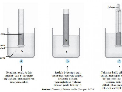 Detail Contoh Soal Tekanan Osmosis Nomer 14