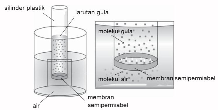 Detail Contoh Soal Tekanan Osmosis Nomer 33