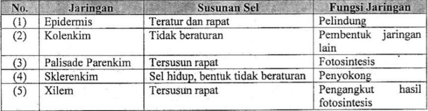 Detail Contoh Soal Tes Organisasi Nomer 48