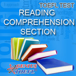 Detail Contoh Soal Tes Toefl Nomer 46