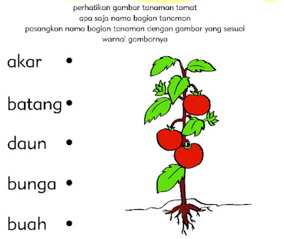 Detail Contoh Soal Tk B Semester 2 Nomer 13