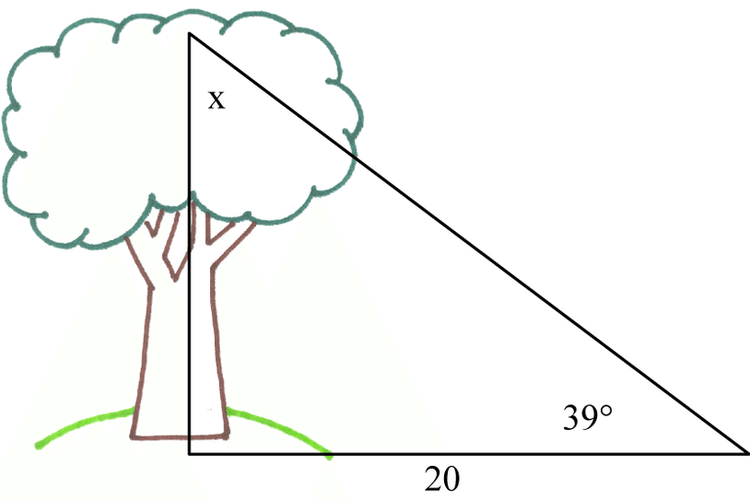 Detail Contoh Soal Trigonometri Kelas 11 Nomer 17