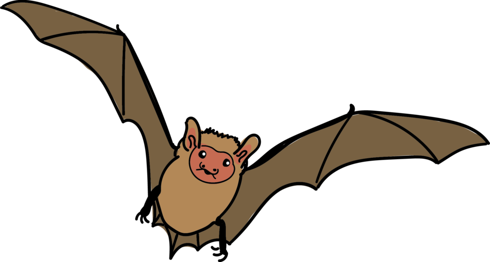 Detail Fledermaus Gemalt Nomer 6