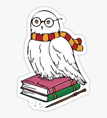 Detail Hedwig Von Harry Potter Nomer 5