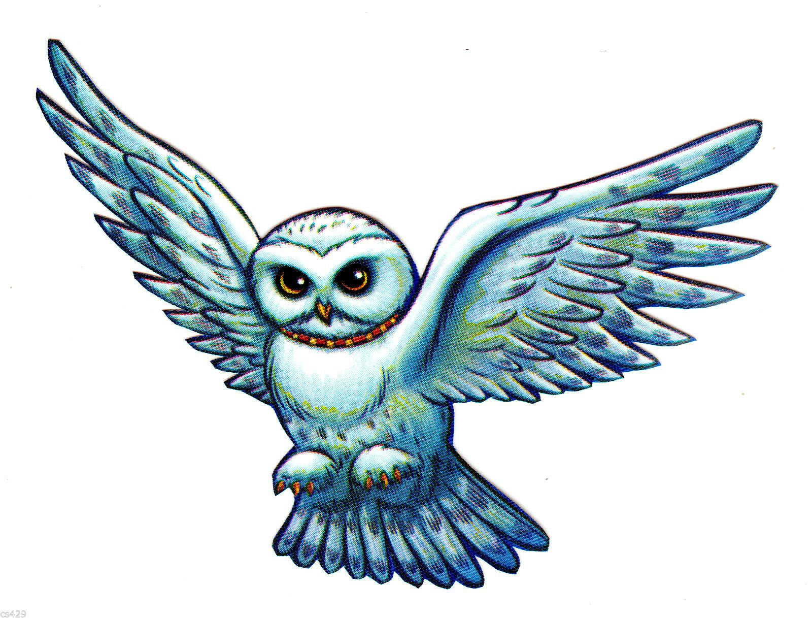 Detail Hedwig Von Harry Potter Nomer 6
