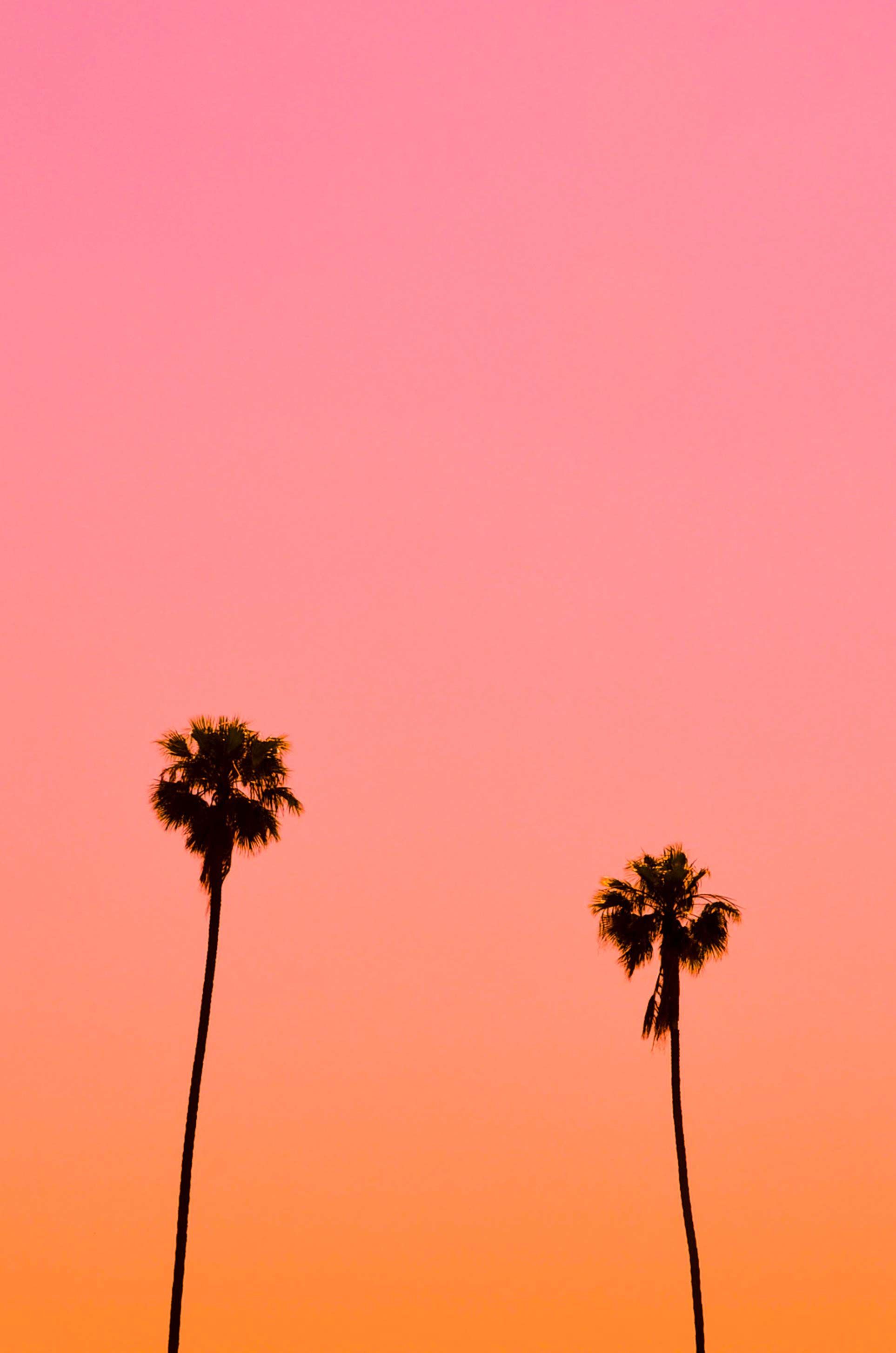 Hintergrundbilder Baum - KibrisPDR