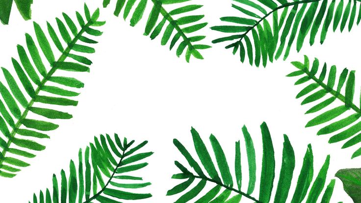 Detail Hintergrundbilder Baum Nomer 2