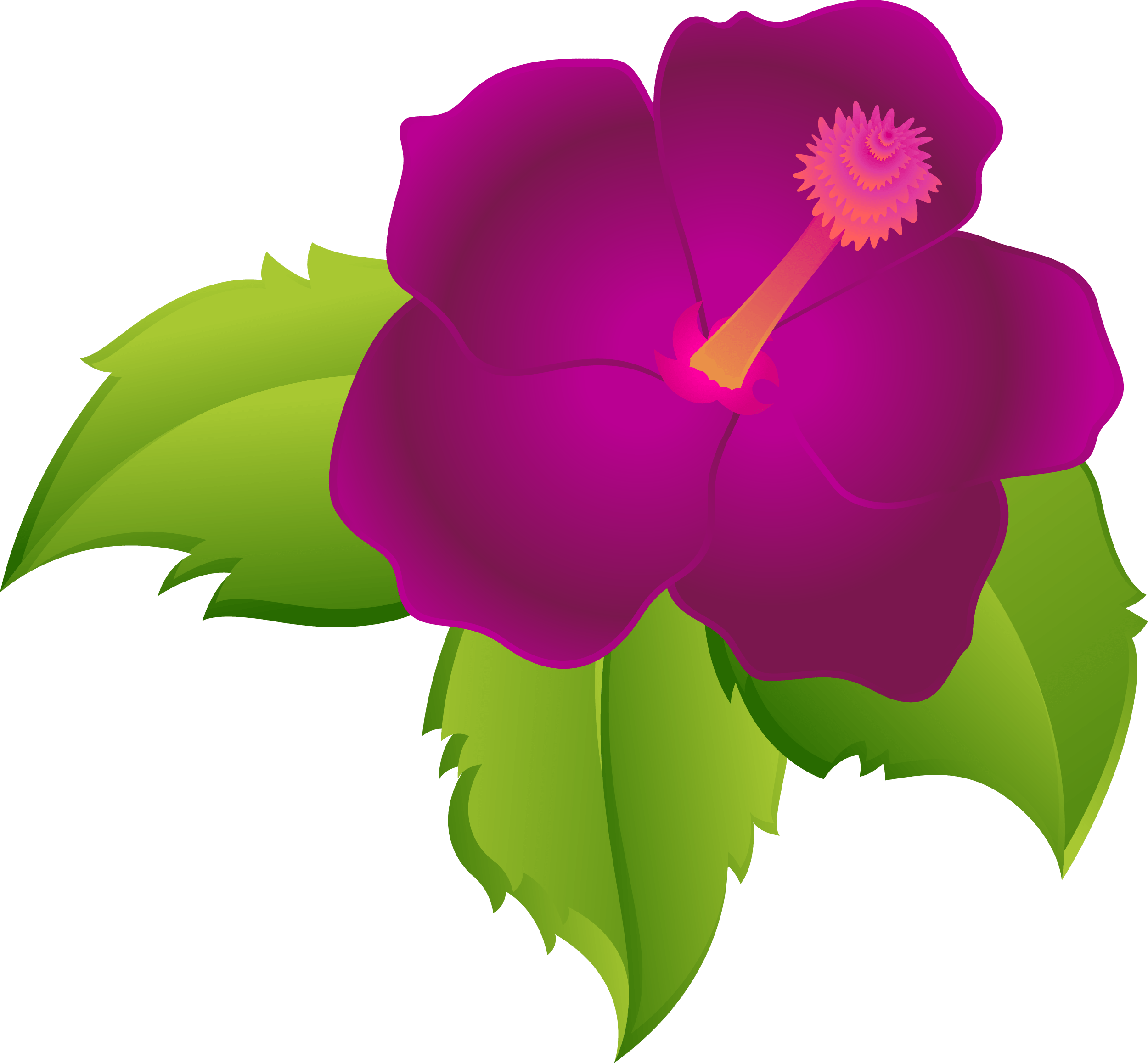 Detail Magenta Flowers Png Nomer 2