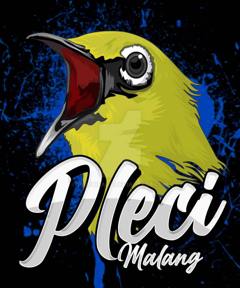 Detail Gambar Logo Pleci Nomer 13