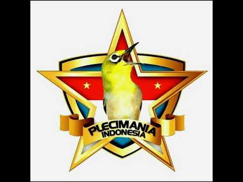 Detail Gambar Logo Pleci Nomer 49