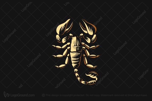 Detail Gambar Logo Scorpion Nomer 19