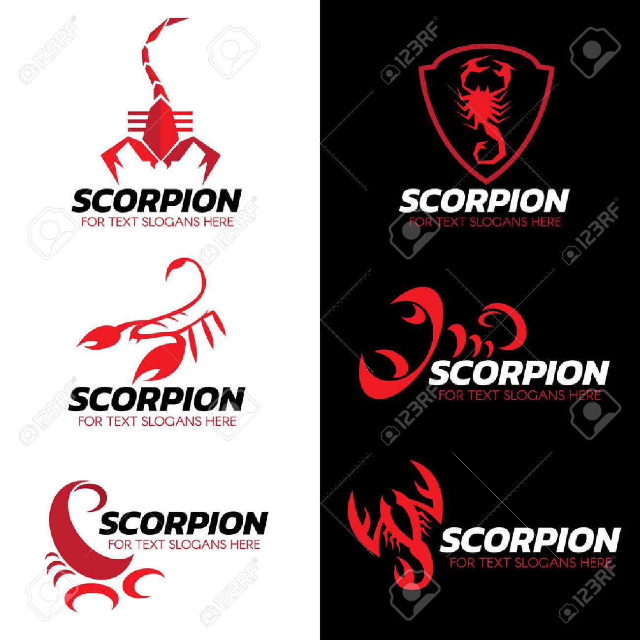 Detail Gambar Logo Scorpion Nomer 47