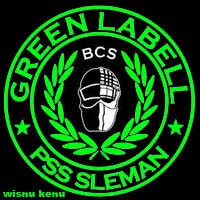 Detail Gambar Logo Sleman Nomer 47