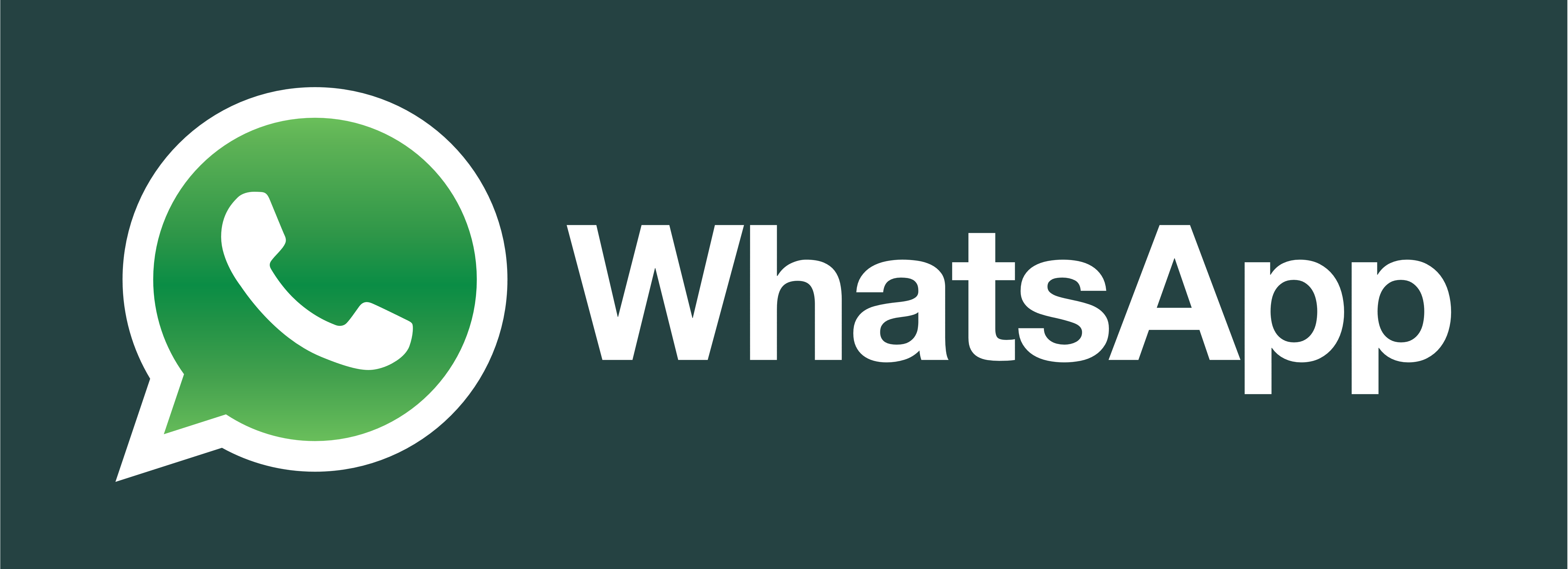 Detail Gambar Logo Whatsapp Nomer 14
