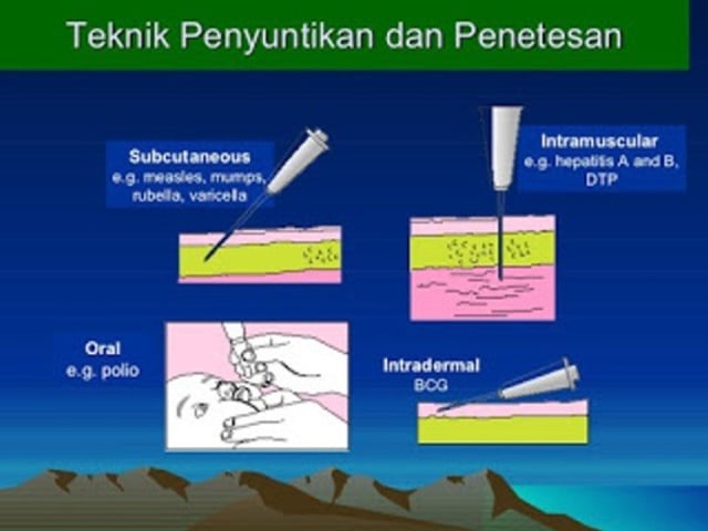 Detail Gambar Lokasi Injeksi Intramuskular Nomer 48