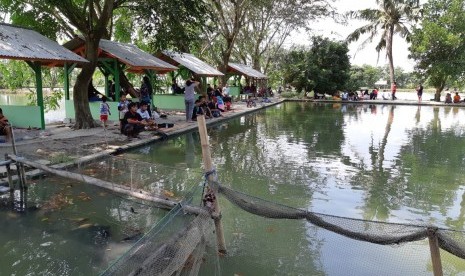 Detail Gambar Lokasi Pemancingan Ikan Nomer 4