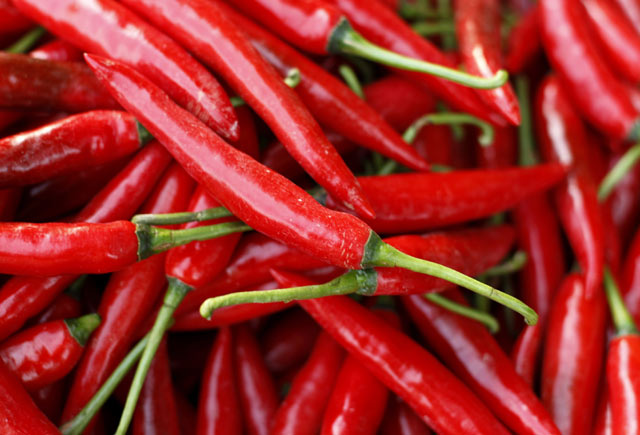 Detail Gambar Lombok Cabe Nomer 2