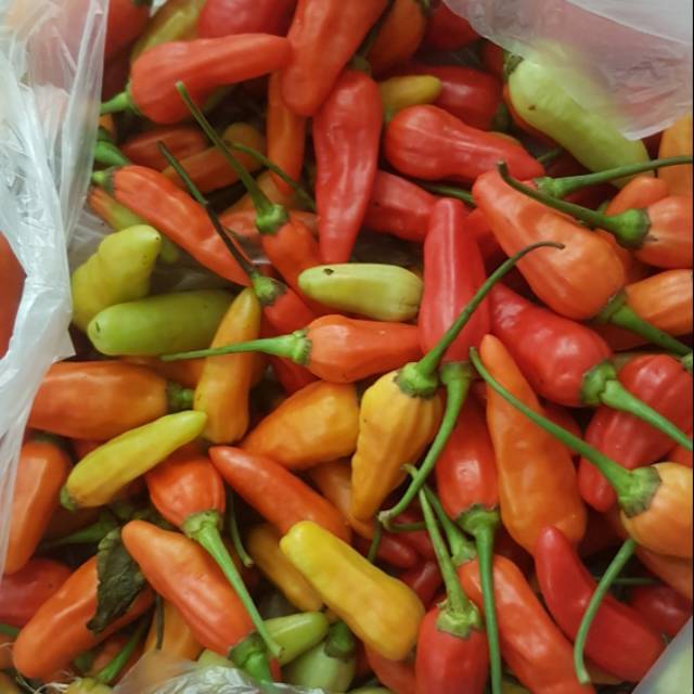 Detail Gambar Lombok Cabe Nomer 11