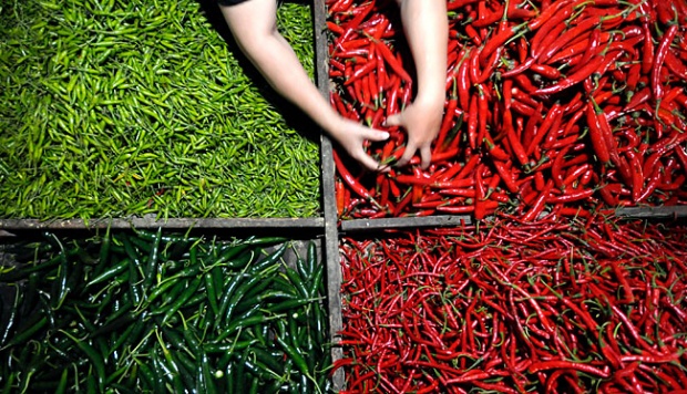 Detail Gambar Lombok Cabe Nomer 17