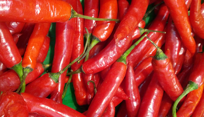 Detail Gambar Lombok Cabe Nomer 32
