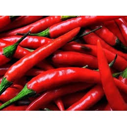 Detail Gambar Lombok Cabe Nomer 35