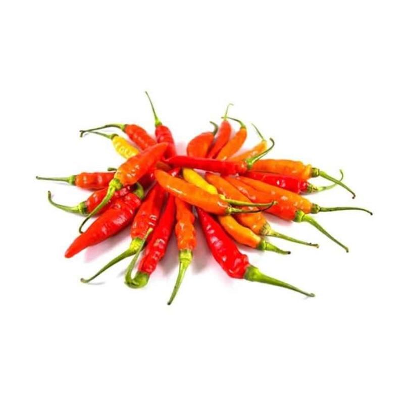 Detail Gambar Lombok Cabe Nomer 5